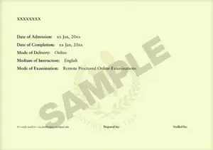 Manipal University Jaipur Online MBA Degree